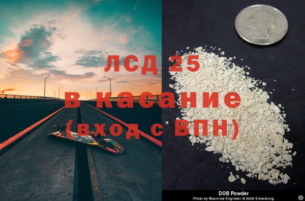 гидра Пересвет