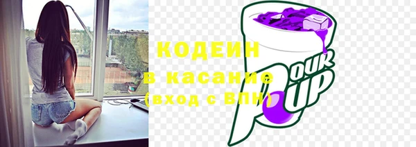 гидра Пересвет