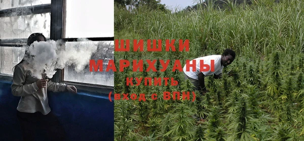 гидра Пересвет