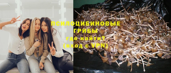 наркотики Курчалой