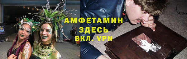 гидра Пересвет