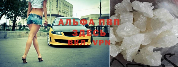 гидра Ельня