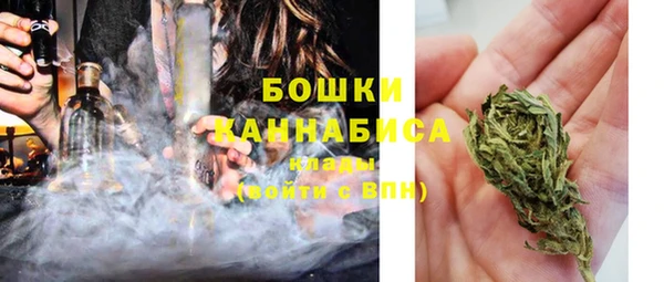 гидра Пересвет