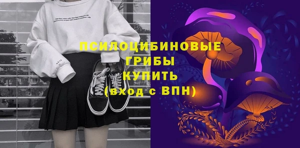 гидра Пересвет
