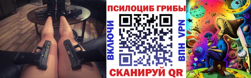 Псилоцибиновые грибы Psilocybine cubensis Светогорск